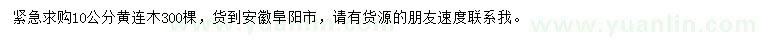 求購(gòu)10公分黃連木
