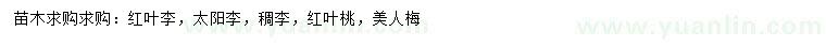 求購(gòu)紅葉李、太陽(yáng)李、稠李等