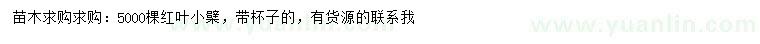 求購(gòu)紅葉小檗