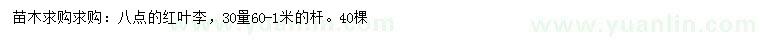 求購30量8公分葉李