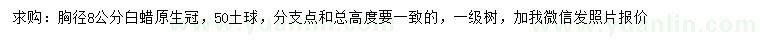 求購胸徑8公分白蠟