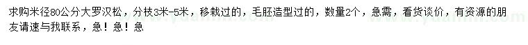 求購米徑80公分大羅漢松