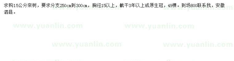 求購胸徑15公分以上欒樹