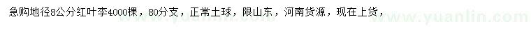 求購地徑8公分紅葉李