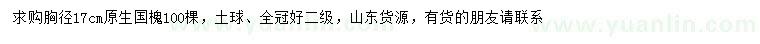 求購(gòu)胸徑17公分原生國(guó)槐