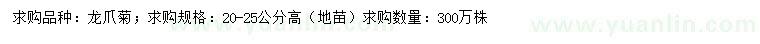 求購高20-25公分龍爪菊