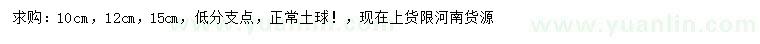 求購10、12、15公分紅葉李