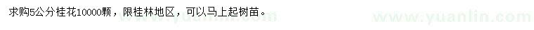 求購5公分桂花