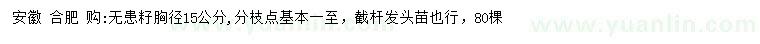 求購胸徑15公分無患子