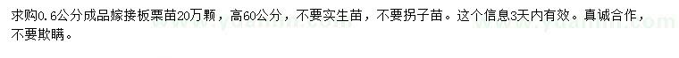 求購0.6公分板栗苗