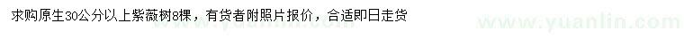 求購30公分以上紫薇