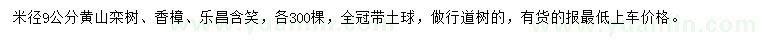 求購(gòu)黃山欒樹(shù)、香樟、樂(lè)昌含笑