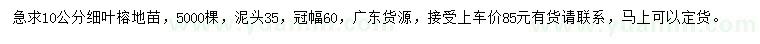 求購10公分細(xì)葉榕