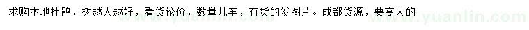 求購(gòu)本地杜鵑