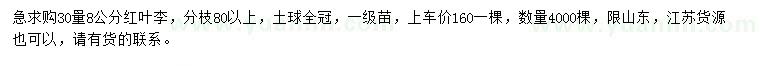 求購30量8公分紅葉李