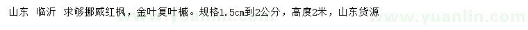 求購1.5-2公分挪威紅楓、金葉復(fù)葉槭