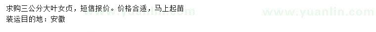 求購(gòu)3公分大葉女貞
