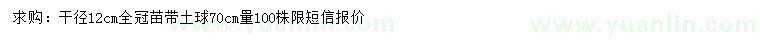 求購干徑12公分香樟