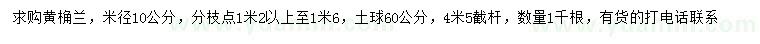 求購(gòu)米徑10公分黃桷蘭