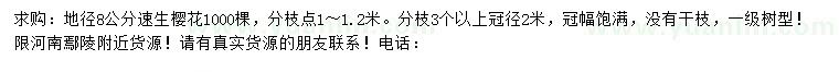 求購地徑8公分速生櫻花
