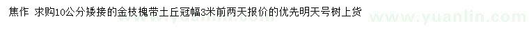 求購10公分金枝槐