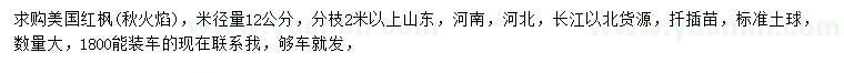 求購米徑量12公分美國紅楓（秋火焰）