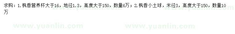 求購地徑1.3公分、米徑3公分楓香小苗