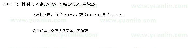 求購胸徑12、18.1-19公分七葉樹
