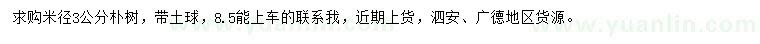 求購米徑3公分樸樹
