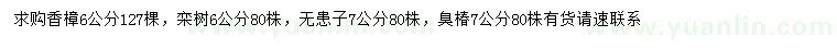 求購香樟、欒樹、無患子等