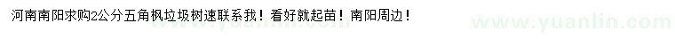求購(gòu)2公分五角楓