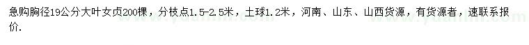 求購(gòu)胸徑19公分大葉女貞