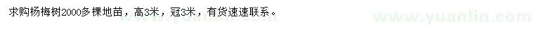 求購高3米楊梅樹