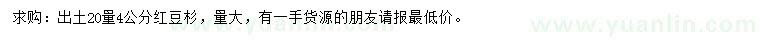 求購出土20量4公分紅豆杉