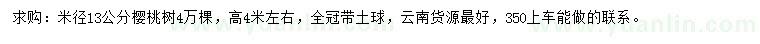 求購米徑13公分櫻桃樹