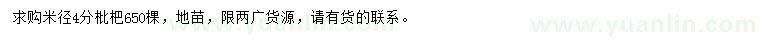 求購米徑4分枇杷
