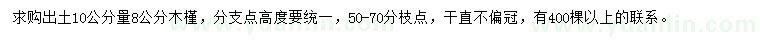 求購10公分量8公分木槿
