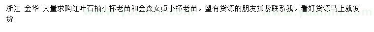 求購(gòu)紅葉石楠小苗、金森女貞小苗