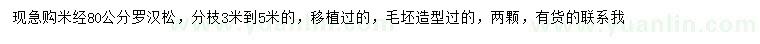 求購(gòu)米徑80公分羅漢松