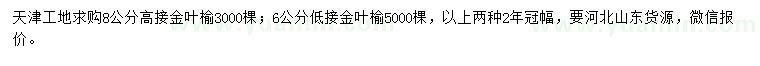 求購6、8公分金葉榆
