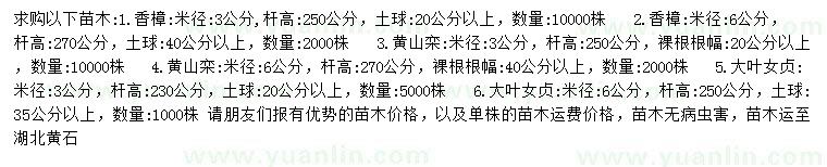 求購香樟、黃山欒、大葉女貞等