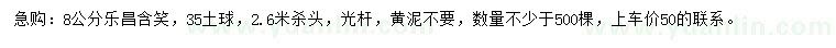 求購(gòu)8公分樂(lè)昌含笑