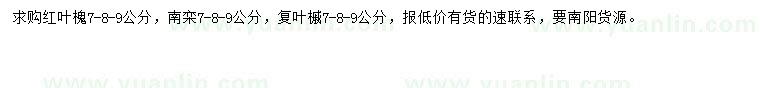 求購紅葉槐、南欒、復(fù)葉槭