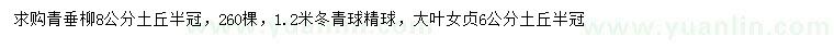 求購青垂柳、冬青球、大葉女貞
