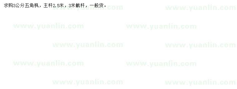 求購3公分五角楓