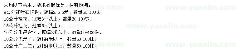 求購紅葉石楠、桂花、樂昌含笑等