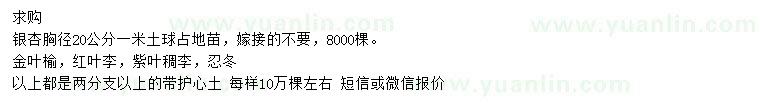 求購(gòu)銀杏、金葉榆、紅葉李等