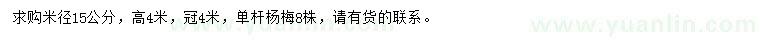 求購米徑15公分單桿楊梅