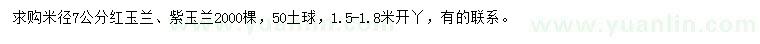 求購(gòu)米徑7公分紅玉蘭、紫玉蘭