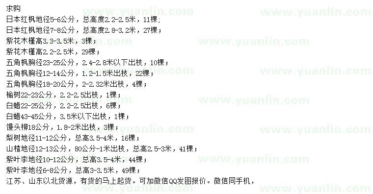 求購日本紅楓、紫花木槿、五角楓等